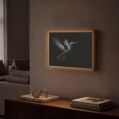 Kolibrie - Zwart - Dieren Light Box met batterij (Wandlamp) middel -sfeer1