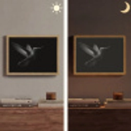 Kolibrie - Zwart - Dieren Light Box met batterij (Wandlamp) middel -sfeer3