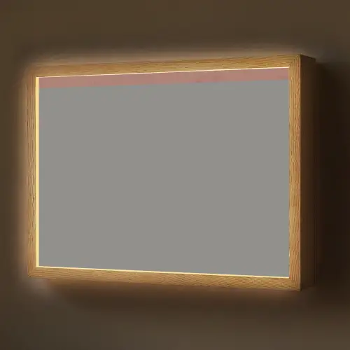 Illustratie - Vogels - Abstract - Roze Light Box met batterij (Wandlamp) middel -z3d_website