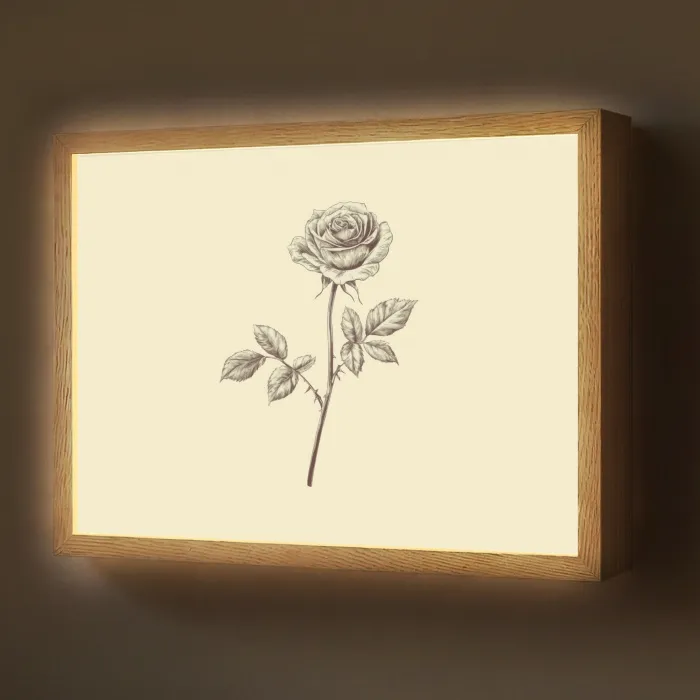 Illustratie - Zwart - Roos Light Box met batterij (Wandlamp) middel -z3d_website
