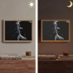 Koi - Vissen - Water - Zwart Light Box met batterij (Wandlamp) middel -sfeer3