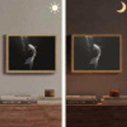 Koi - Vis - Wit - Zwart Light Box met batterij (Wandlamp) middel -sfeer3