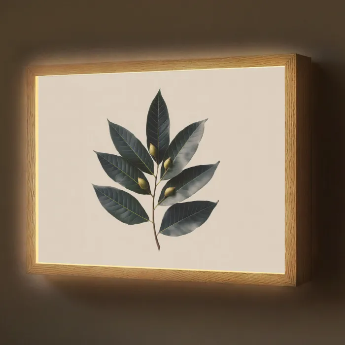 Laurierbladeren - Bloemknoppen - subtiel Light Box met batterij (Wandlamp) middel -z3d_website