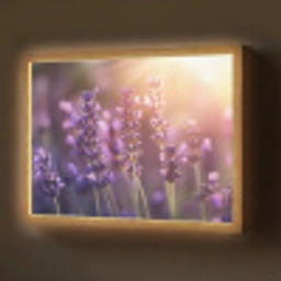 Lavendelbloemen - Paars - Zonlicht Light Box met batterij (Wandlamp) middel -z3d_website