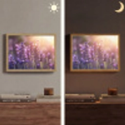 Lavendelbloemen - Paars - Zonlicht Light Box met batterij (Wandlamp) middel -sfeer3