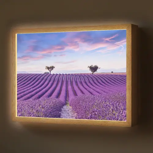 Lavendel - Natuur - Paars - Bomen - Bloemen Light Box met batterij (Wandlamp) middel -z3d_website