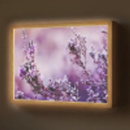 Lavendel - Winter - Bloemen - Paars Light Box met batterij (Wandlamp) middel -z3d_website