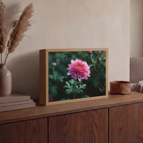 Blad - Chrysant - Roze - Schaduw Light Box met batterij (Wandlamp) middel -sfeer2