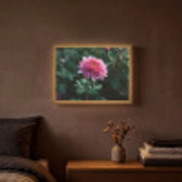 Blad - Chrysant - Roze - Schaduw Light Box met batterij (Wandlamp) middel -sfeer4