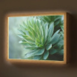 Blad - Plant - Groen - Textuur Light Box met batterij (Wandlamp) middel -z3d_website