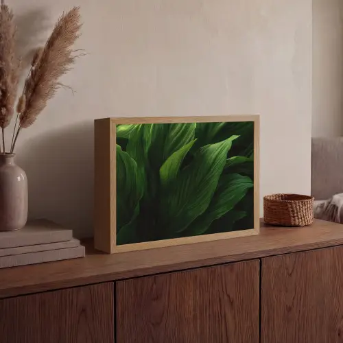 Bladeren - Schaduw - Groen - Textuur Light Box met batterij (Wandlamp) middel -sfeer2