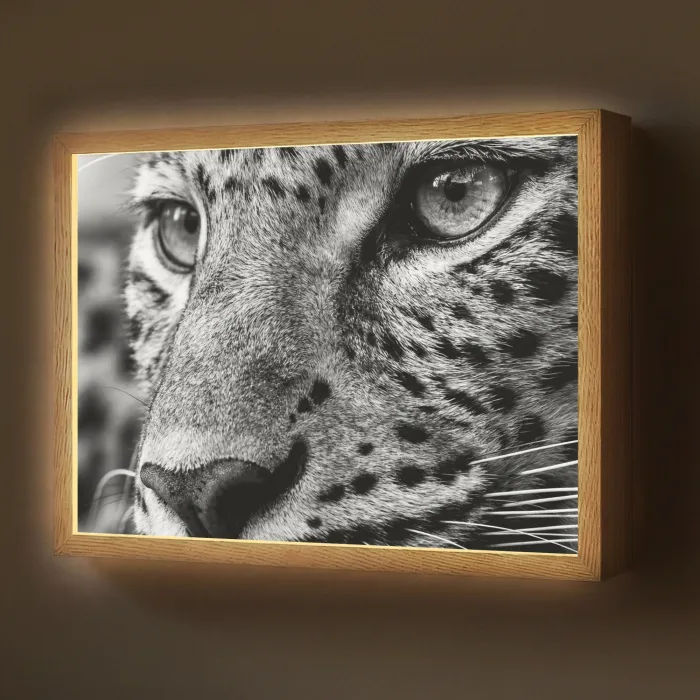 Luipaard - Zwart - Wit - Oog Light Box met batterij (Wandlamp) middel -z3d_website