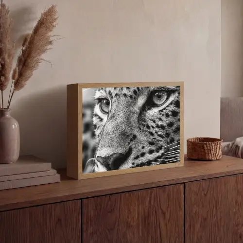 Luipaard - Zwart - Wit - Oog Light Box met batterij (Wandlamp) middel -sfeer2