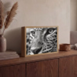 Luipaard - Zwart - Wit - Oog Light Box met batterij (Wandlamp) middel -sfeer2