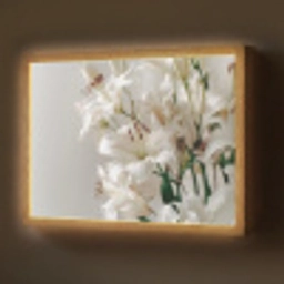 Lelies - Boekte - Wit - Meeldraden Light Box met batterij (Wandlamp) middel -z3d_website