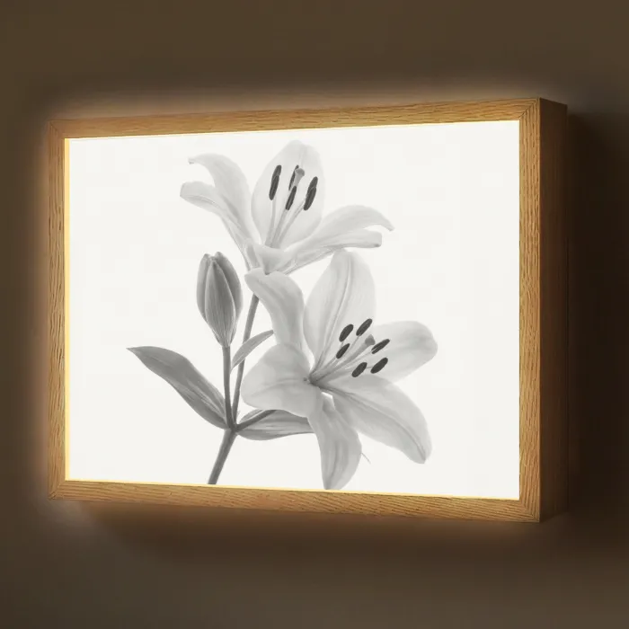 Lelies - Elegant - Zwart - Wit Light Box met batterij (Wandlamp) middel -z3d_website
