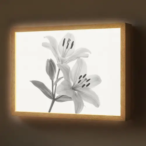 Lelies - Elegant - Zwart - Wit Light Box met batterij (Wandlamp) middel -z3d_website