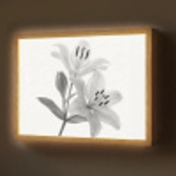 Lelies - Elegant - Zwart - Wit Light Box met batterij (Wandlamp) middel -z3d_website