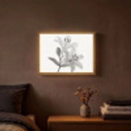 Lelies - Elegant - Zwart - Wit Light Box met batterij (Wandlamp) middel -sfeer4