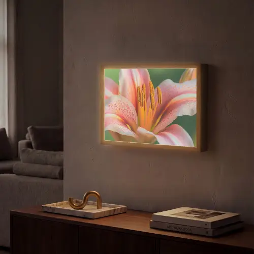 Lelie - Close up - Lichtroze Light Box met batterij (Wandlamp) middel -sfeer1