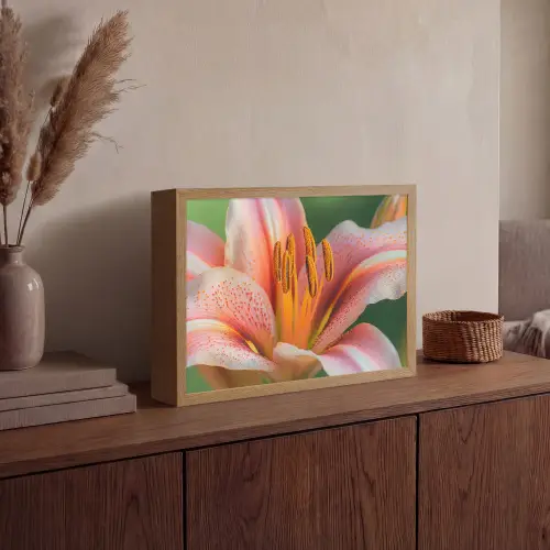 Lelie - Close up - Lichtroze Light Box met batterij (Wandlamp) middel -sfeer2