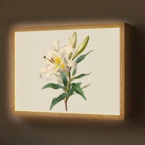 Lelie - Elegant - Botanisch - Beige Light Box met batterij (Wandlamp) middel -z3d_website