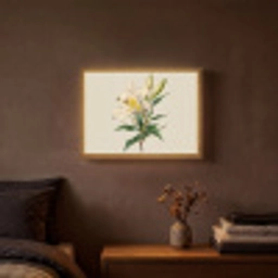 Lelie - Elegant - Botanisch - Beige Light Box met batterij (Wandlamp) middel -sfeer4