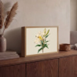 Lelie - Elegant - Botanisch - Beige Light Box met batterij (Wandlamp) middel -sfeer2