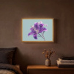 Lelie - Bloem - Paars - Stippen Light Box met batterij (Wandlamp) middel -sfeer4