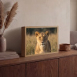 Leeuwin - Gras - Geel Light Box met batterij (Wandlamp) middel -sfeer2
