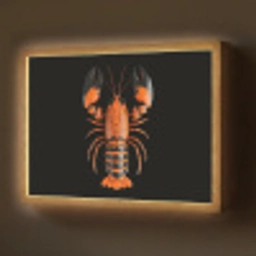 Kreeft - Oranje - Zwart - Modern Light Box met batterij (Wandlamp) middel -z3d_website