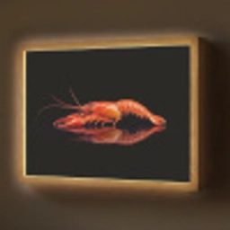 Kreeft - Oranje - Zwart - Opvallend Light Box met batterij (Wandlamp) middel -z3d_website