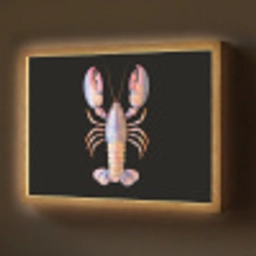 Kreeft - Roze - Zacht - Zwart Light Box met batterij (Wandlamp) middel -z3d_website