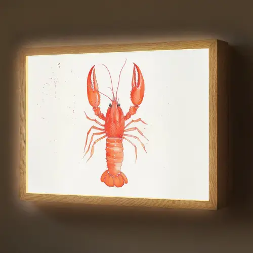 Kreeft - Waterverf - Aquarel - Oranje Light Box met batterij (Wandlamp) middel -z3d_website