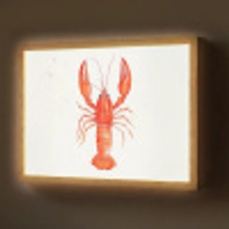 Kreeft - Waterverf - Aquarel - Oranje Light Box met batterij (Wandlamp) middel -z3d_website