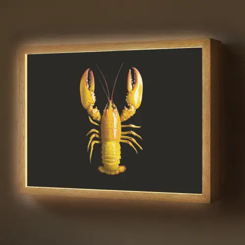 Kreeft - Geel - Stippen - Effen Light Box met batterij (Wandlamp) middel -z3d_website