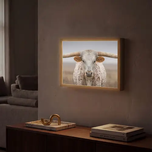 Longhorn - Grasveld - Dier Light Box met batterij (Wandlamp) middel -sfeer1