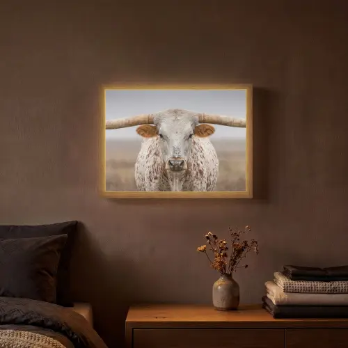 Longhorn - Grasveld - Dier Light Box met batterij (Wandlamp) middel -sfeer4