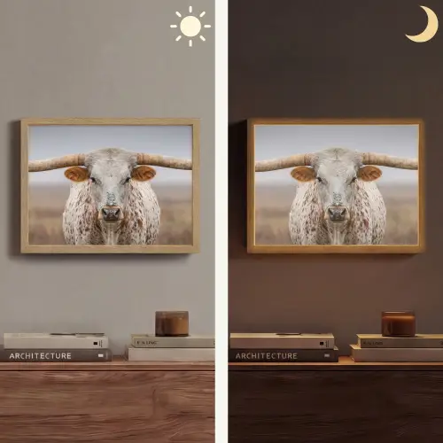 Longhorn - Grasveld - Dier Light Box met batterij (Wandlamp) middel -sfeer3
