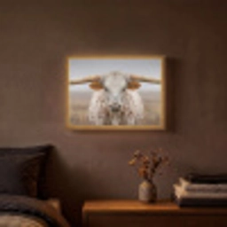 Longhorn - Grasveld - Dier Light Box met batterij (Wandlamp) middel -sfeer4