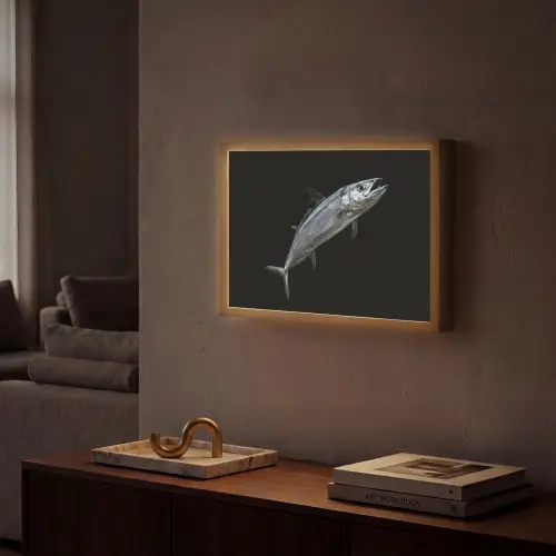 Makreel - Vis - Zwart Light Box met batterij (Wandlamp) middel -sfeer1