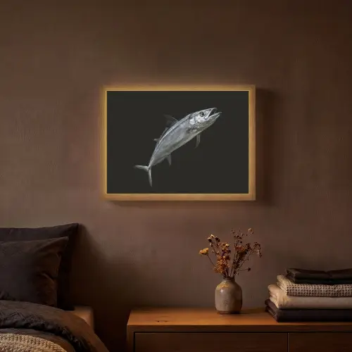 Makreel - Vis - Zwart Light Box met batterij (Wandlamp) middel -sfeer4