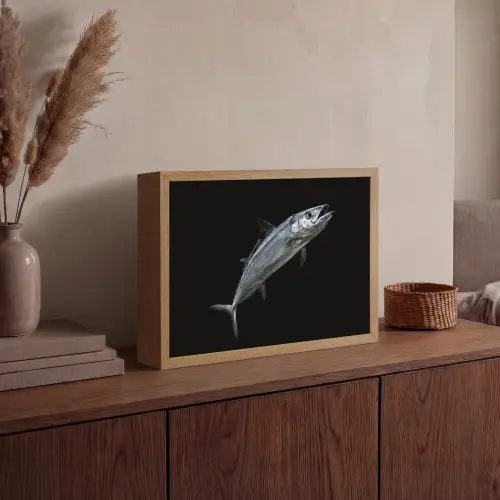Makreel - Vis - Zwart Light Box met batterij (Wandlamp) middel -sfeer2