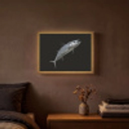 Makreel - Vis - Zwart Light Box met batterij (Wandlamp) middel -sfeer4