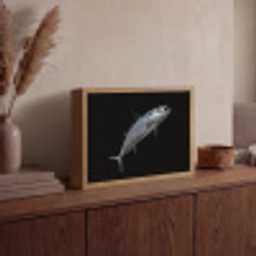 Makreel - Vis - Zwart Light Box met batterij (Wandlamp) middel -sfeer2