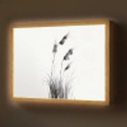 Minimalistisch - Stelen - Wit Light Box met batterij (Wandlamp) middel -z3d_website