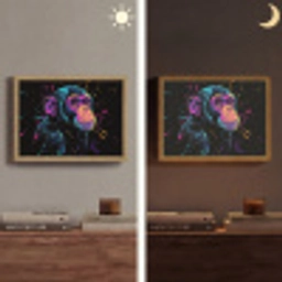 Aap - Verf - Neon - Kleur Light Box met batterij (Wandlamp) middel -sfeer3