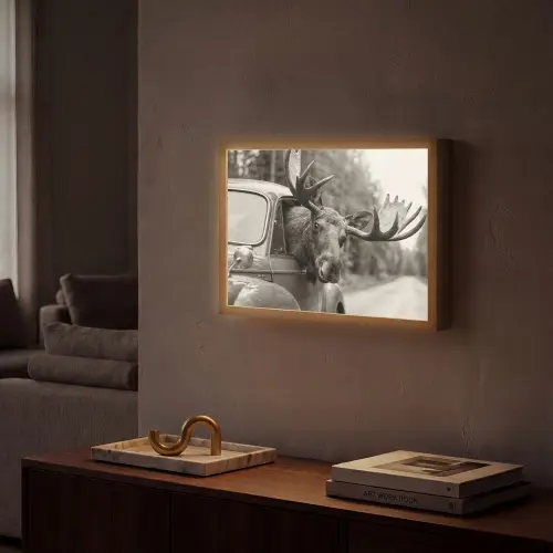 Eland - Auto - Gewei - Zwart - Wit Light Box met batterij (Wandlamp) middel -sfeer1