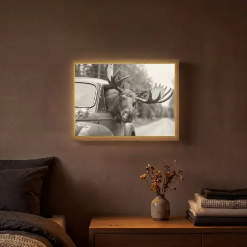 Eland - Auto - Gewei - Zwart - Wit Light Box met batterij (Wandlamp) middel -sfeer4