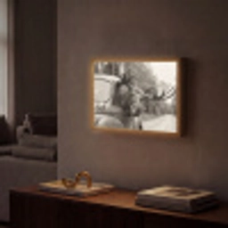 Eland - Auto - Gewei - Zwart - Wit Light Box met batterij (Wandlamp) middel -sfeer1
